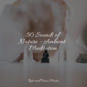 50 Sounds of Nature - Ambient Meditation