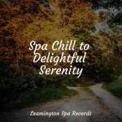 Spa Chill to Delightful Serenity