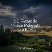 50 Piezas de Música Relajante Para El Spa
