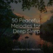 50 Peaceful Melodies for Deep Sleep