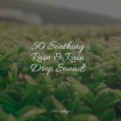 50 Soothing Rain & Rain Drop Sounds