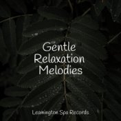 Gentle Relaxation Melodies