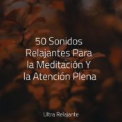 50 Sonidos Relajantes Para la Meditación Y la Atención Plena