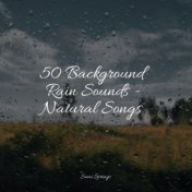 50 Background Rain Sounds - Natural Songs