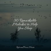 50 Remarkable Melodies to Help You Sleep