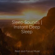 Sleep Sounds | Instant Deep Sleep