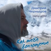 Как тебе воплощение