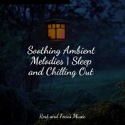 Soothing Ambient Melodies | Sleep and Chilling Out
