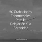 50 Grabaciones Fenomenales Para la Relajación Y la Serenidad