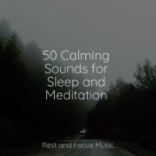 50 Calming Sounds for Sleep and Meditation