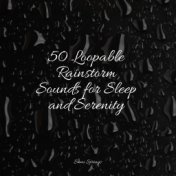 50 Loopable Rainstorm Sounds for Sleep and Serenity