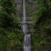 Sonidos Relajantes | Yoga Y Meditación