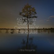 50 Nanas CLásicas Calmadas Y Tranquilas