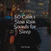 50 Calm & Slow Rain Sounds for Sleep