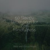 50 Sleepy Recordings for Zen Mindfulness