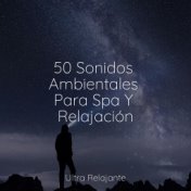 50 Sonidos Ambientales Para Spa Y Relajación