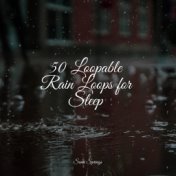 50 Loopable Rain Loops for Sleep