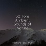 50 Tore Ambient Sounds of Nature