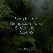 Sonidos de Relajación Para El Verano | Sueño