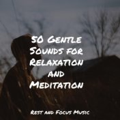 50 Gentle Sounds for Relaxation and Meditation