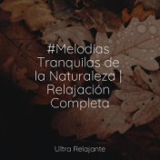 #Melodías Tranquilas de la Naturaleza | Relajación Completa