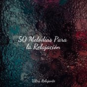 50 Melodías Para la Relajación