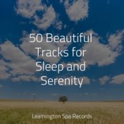 50 Beautiful Tracks for Sleep and Serenity