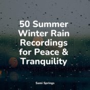 50 Summer Winter Rain Recordings for Peace & Tranquility