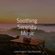 Soothing Serenity Music