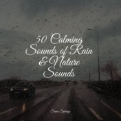 50 Calming Sounds of Rain & Nature Sounds