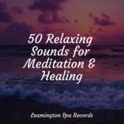 50 Relaxing Sounds for Meditation & Healing
