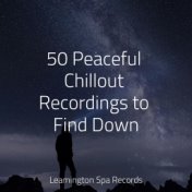 50 Peaceful Chillout Recordings to Find Down