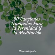 50 Canciones Tranquilas Para la Serenidad Y la Meditación