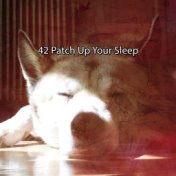 42 Patch up Your Sleep