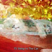 75 Sleep in the Car