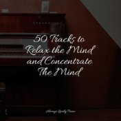 25 Tracks to Relax the Mind and Concentrate The Mind