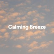 Calming Breeze