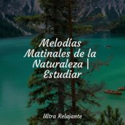 Melodías Matinales de la Naturaleza | Estudiar