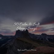 50 Calm & Soft Sleepy Songs