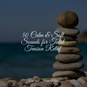 50 Calm & Soft Sounds for Total Tension Relief