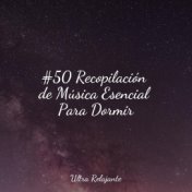 #50 Recopilación de Música Esencial Para Dormir