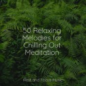 50 Relaxing Melodies for Chilling Out Meditation