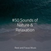 #50 Sounds of Nature & Relaxation