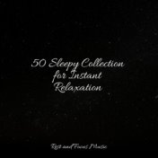 50 Sleepy Collection for Instant Relaxation