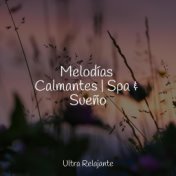 Melodías Calmantes | Spa & Sueño