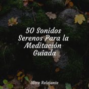 50 Sonidos Serenos Para la Meditación Guiada