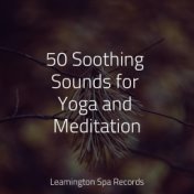 50 Soothing Sounds for Yoga and Meditation