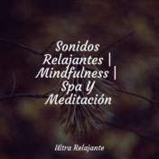 Sonidos Relajantes | Mindfulness | Spa Y Meditación