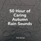 50 Hour of Caring Autumn Rain Sounds