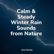 Calm & Steady Winter Rain Sounds from Nature